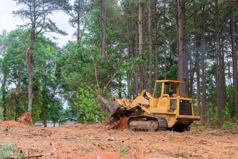 Land Clearing with Bulldozer