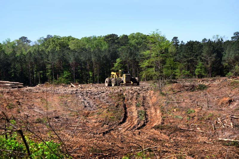 Agricultural Land Clearing Services